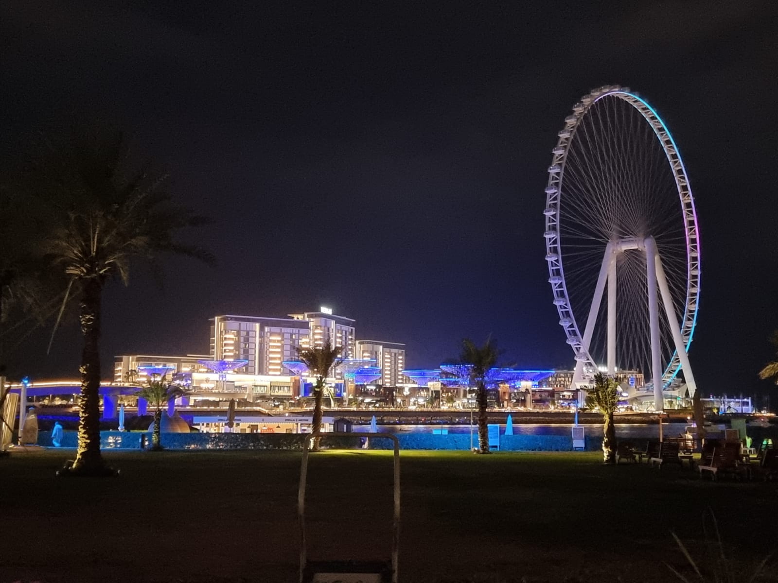 Calm evening view of Ain Dubai with colorful lightings in entire Bluewaters area.